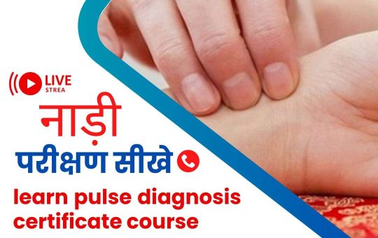 Nadi Parikshan Course